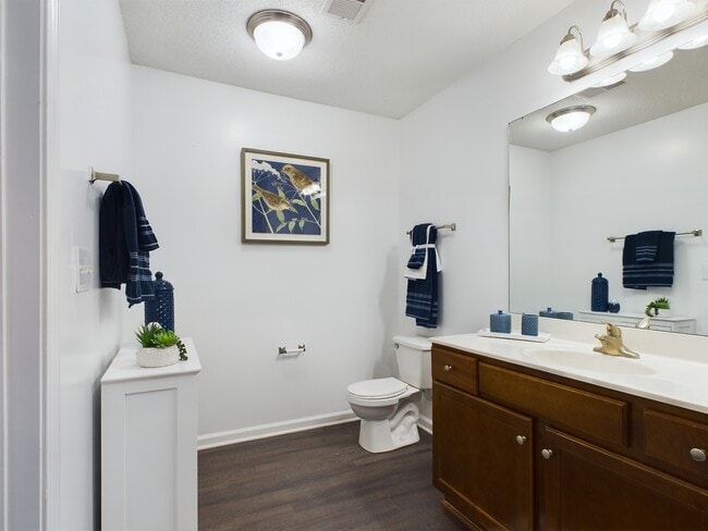 Large Bathroom - Stone Ridge Apartments