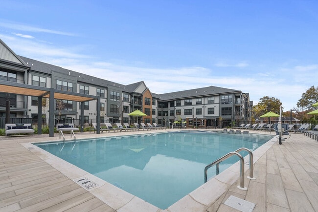 Photo - Canter Green