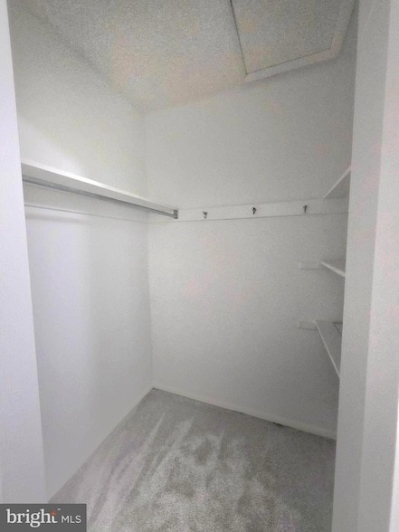 Photo - 9771 Hilspach St Unit B