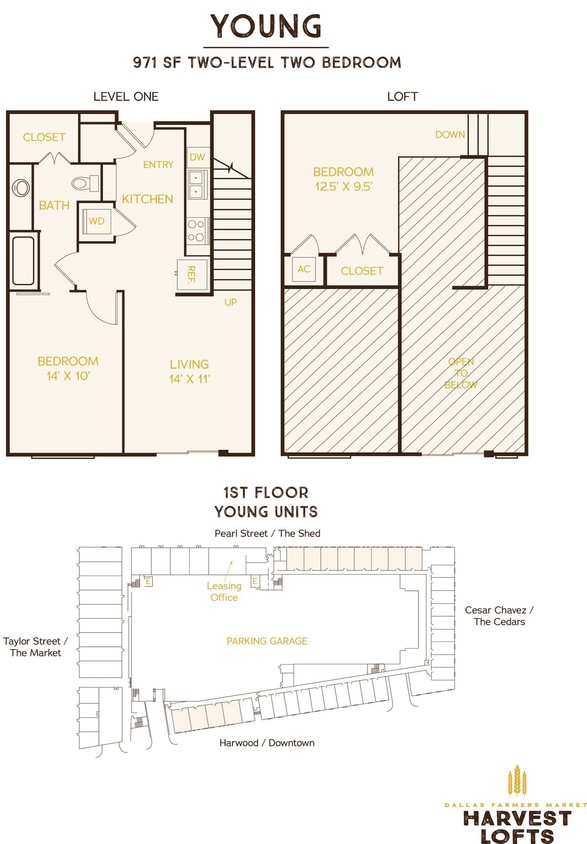 Harvest Lofts Young Floor Plan - Young (A1AM)