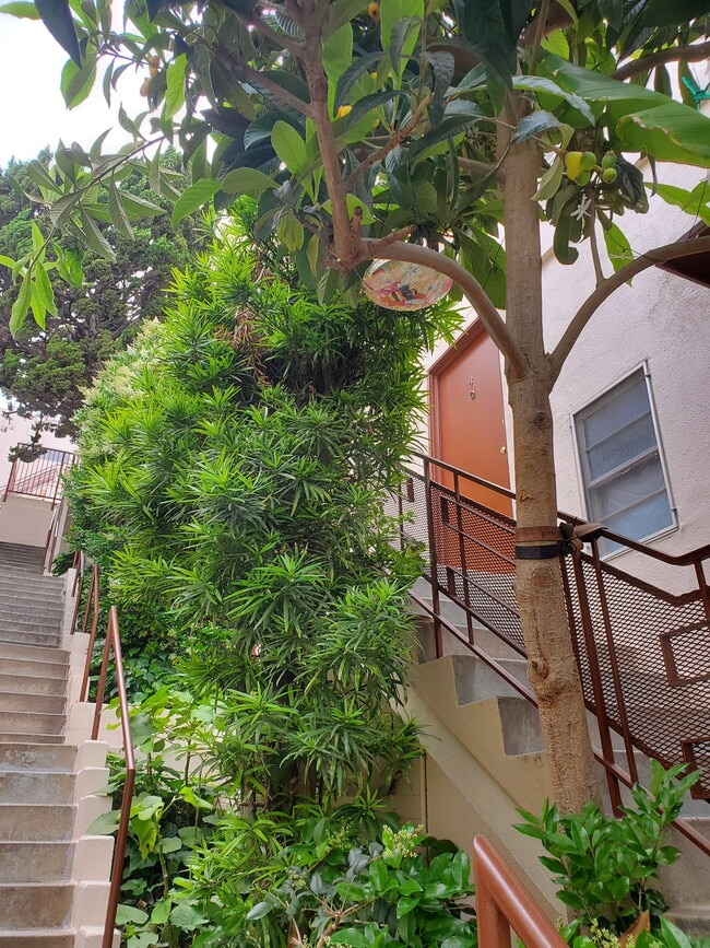 Photo - Westwood Apartments, Inc
