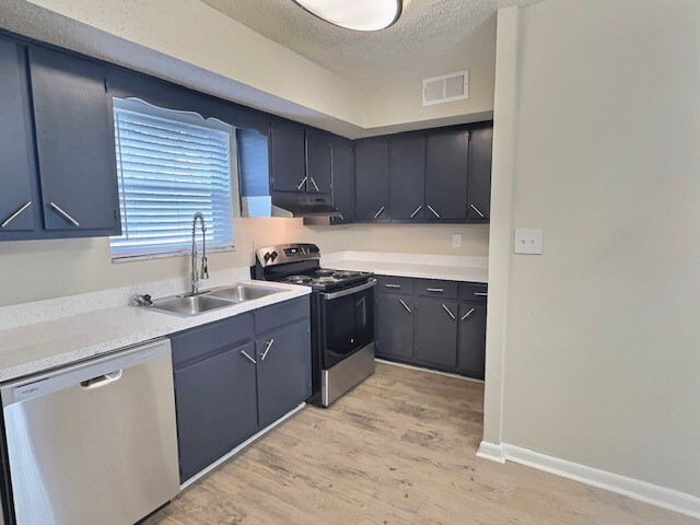 2Bed, 2Bath Kitchen - Carriage Hills Apartments