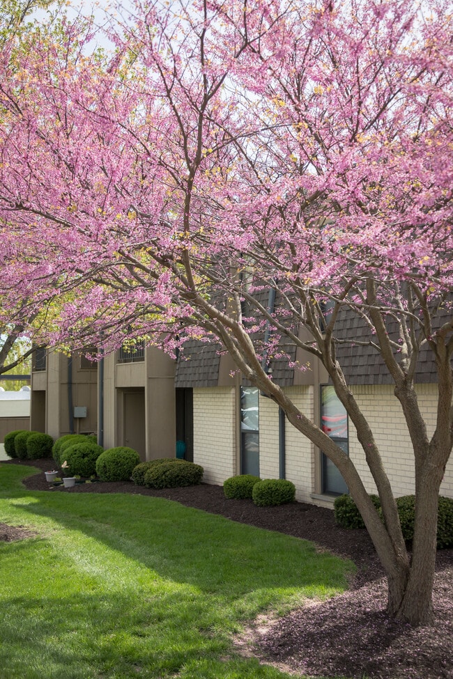 Photo - Chesterfield Place