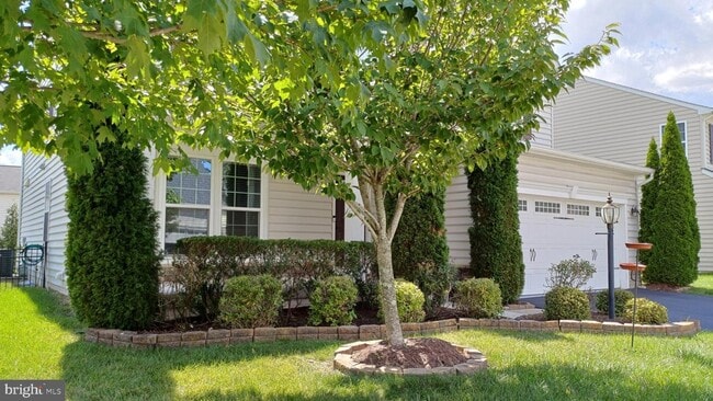 Photo - 25501 Emerson Oaks Dr