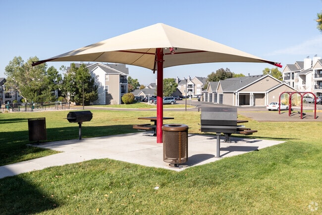 Outdoor Grill - Pines at Castle Rock