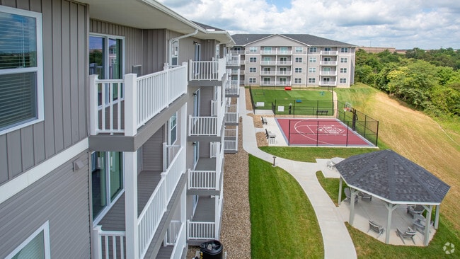 Dog Park, Basketball Court, Gazebo - Spark Black Bear