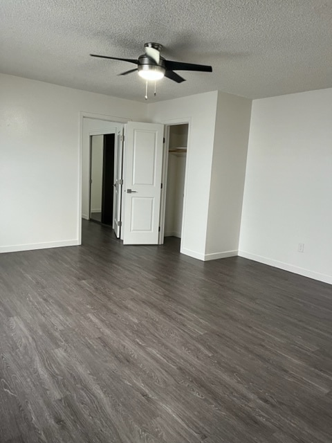 Floor Plan - Renovated Studio Apartment
