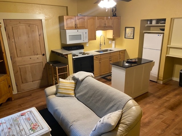 Floor Plan - Guest Apt B