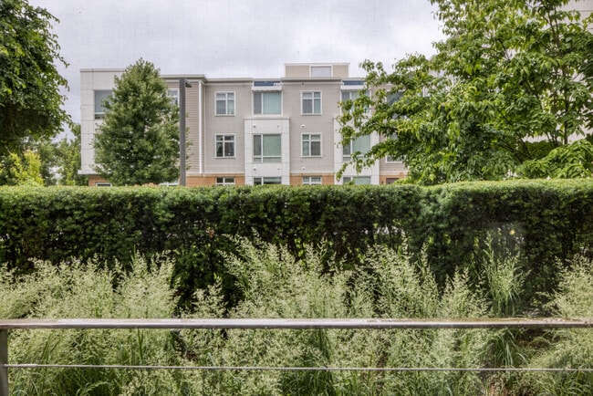 Photo - 240 Sidney St Unit FL2-ID1287