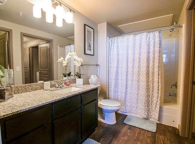 Photo - Anatole on Briarwood