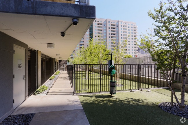 Dog park - Apex. The One.