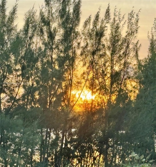 Photo - 8650 NW 97th Ave Unit 204