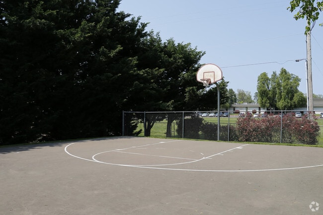 Basketball Court - Heron Club