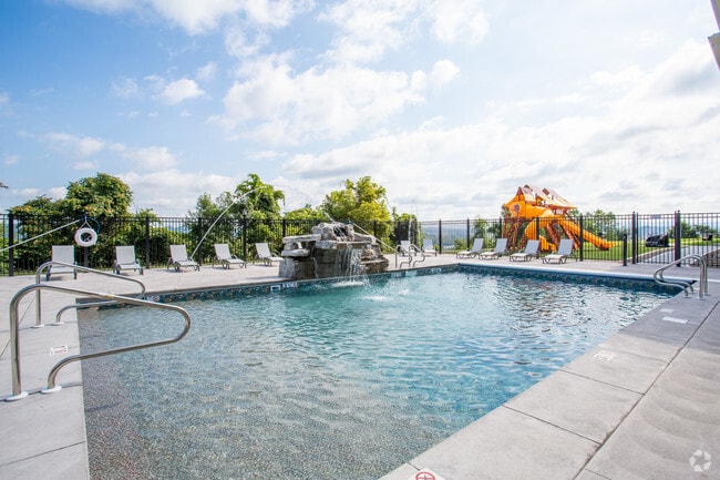 Pool - Spark Black Bear