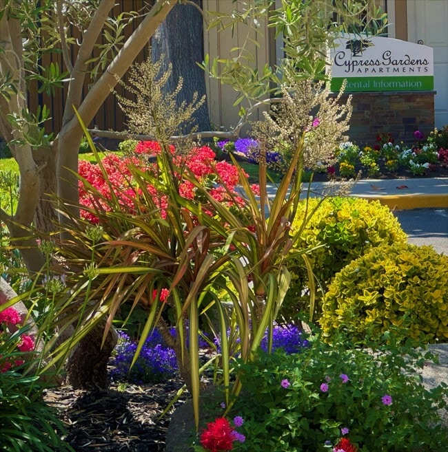 Cypress Gardens Apartments - CYPRESS GARDENS APARTMENTS