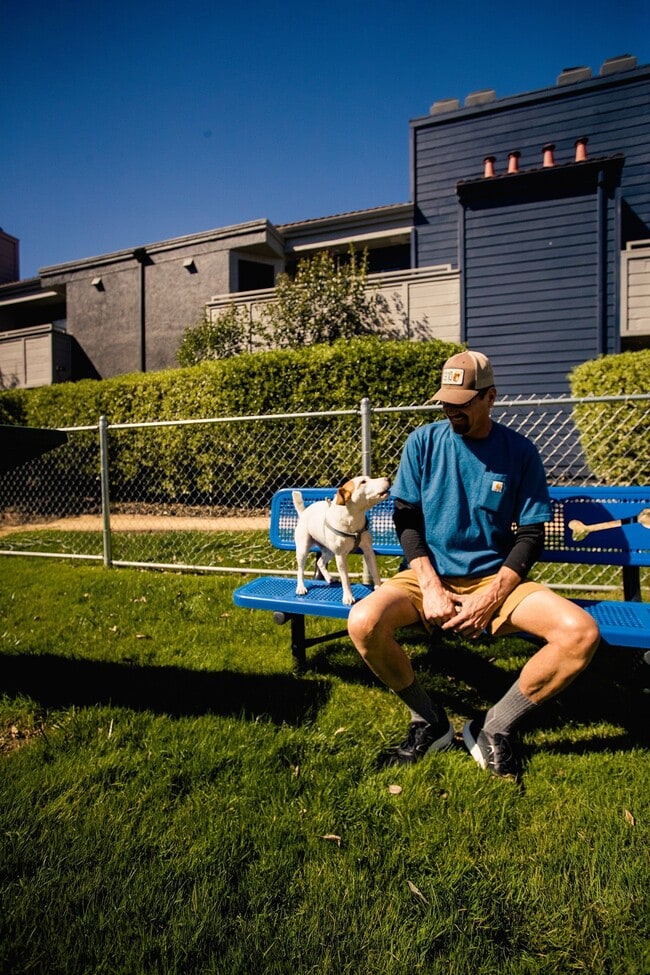 Photo - ReNew on Summerfield