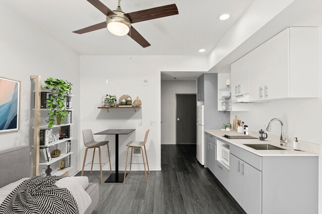 Photo - Koz on Sandy