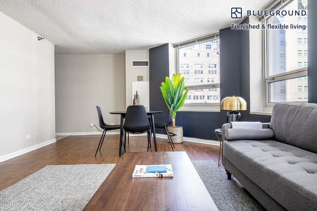 Photo - 750 N Rush St Unit SI FL13-ID269
