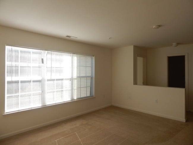 Lots of natural light! - Carlyle Place Apartments