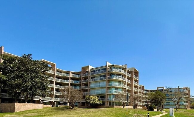 Building Photo - 1012 Guadalupe St