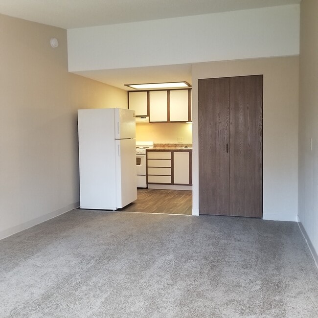 Studio Standard - Hayfield Park