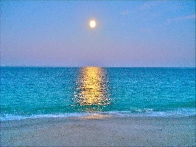 Photo - 5400 Jimmy Buffett Mem Hwy Unit 17