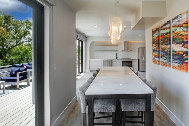 Photo - Cypress on Vine