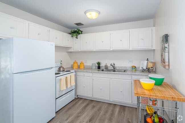 2BR, 1BA - 890SF - Kitchen - Scenic Tree Rentals