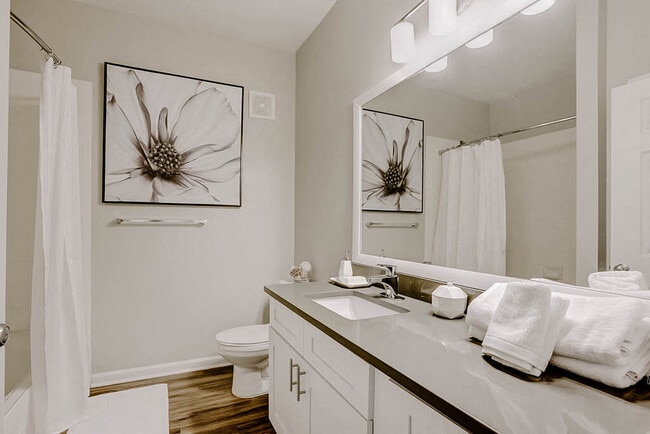 Building Photo - Finley At Fairfax Corner