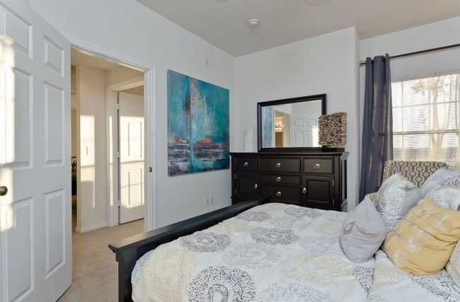 The Ravinia - The Ravinia