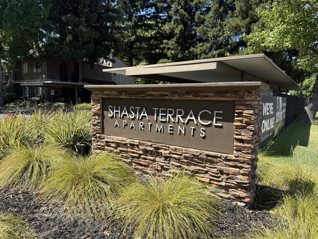 Photo - Shasta Terrace