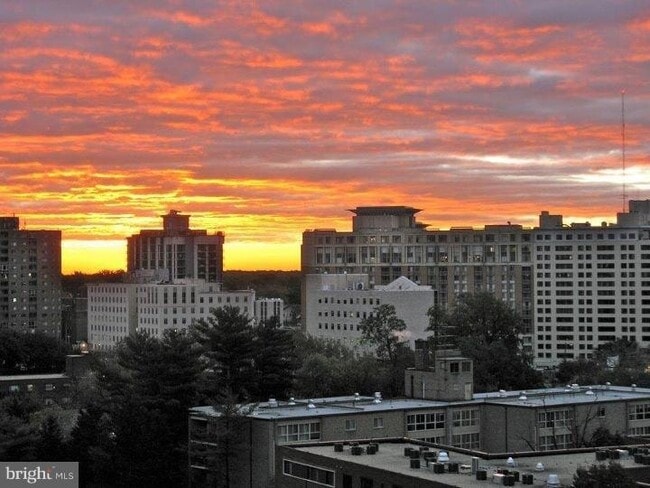 Building Photo - 8315 N Brook Ln