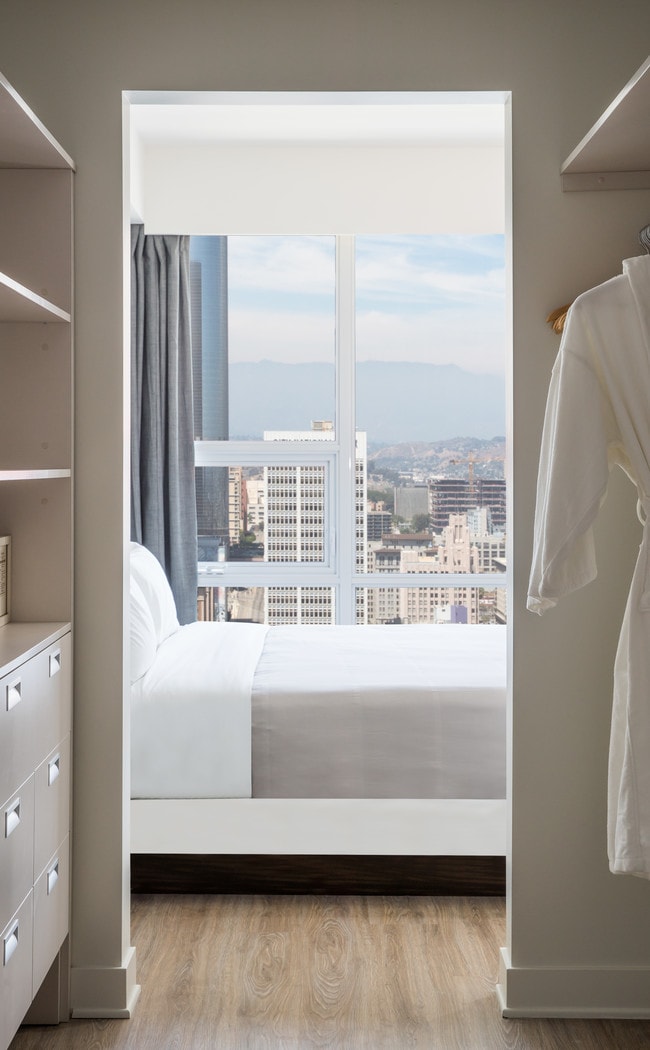 Photo - LEVEL - South Olive