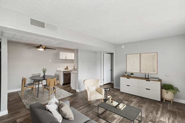 Photo - Accent on Rainbow