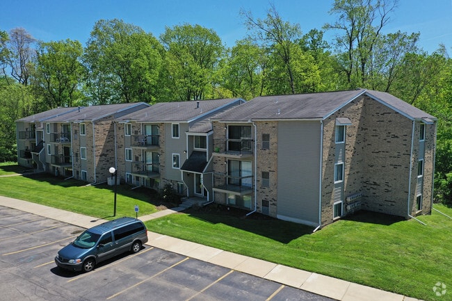 Photo - Autumn Woods