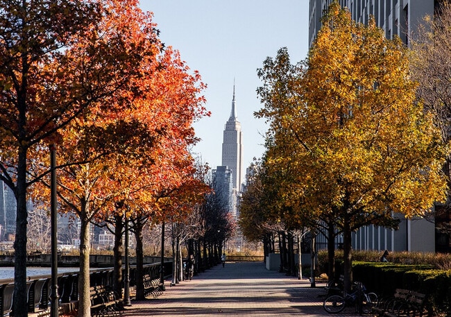 Photo - 1424 Adams St Unit ID1295528P