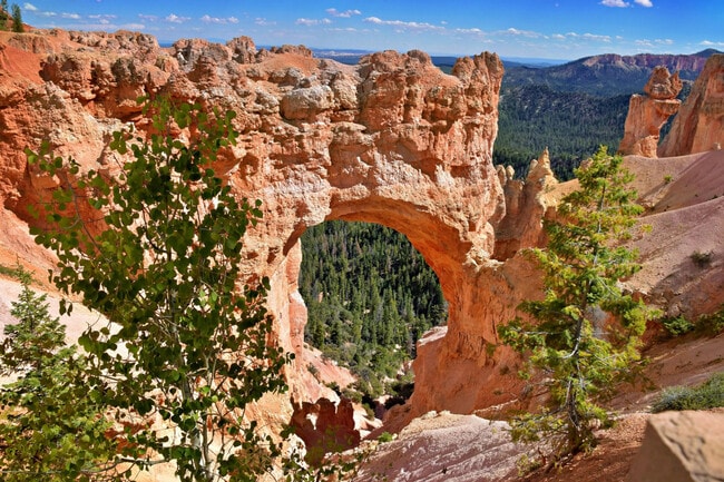 Photo - 220 Circle Dr Unit ID1249883P