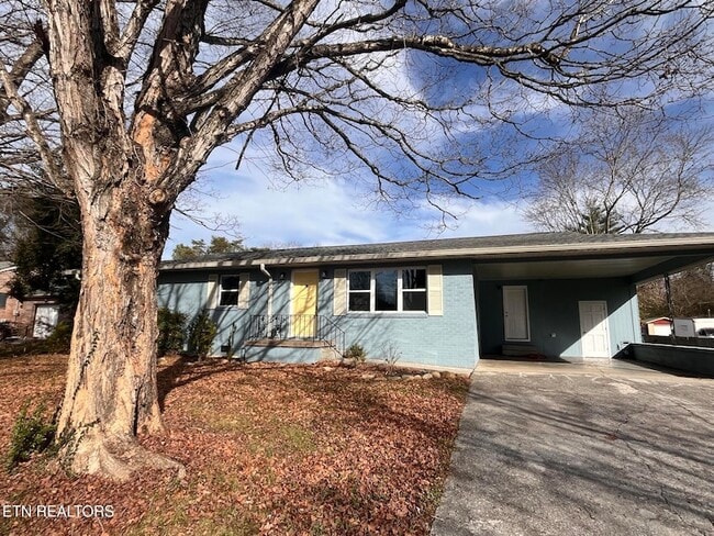 Photo - 3408 Hackberry Rd