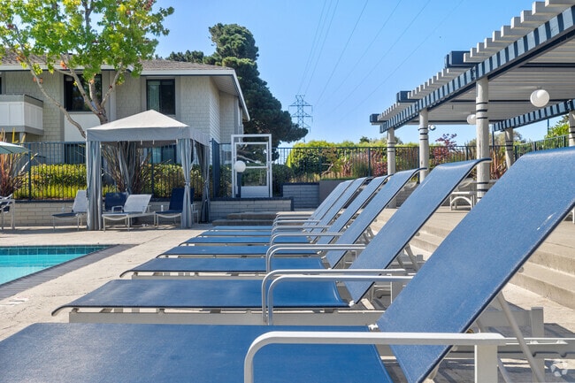 Pool Lounge chairs - Beach Cove