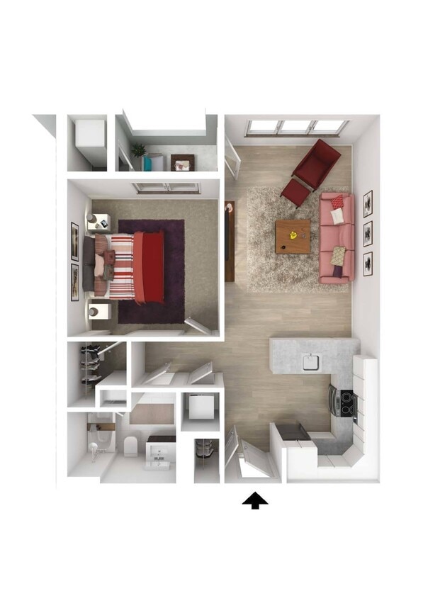 The Paradise - The Paradise