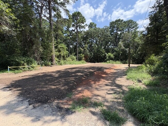 Building Photo - 161 Kirk Ln