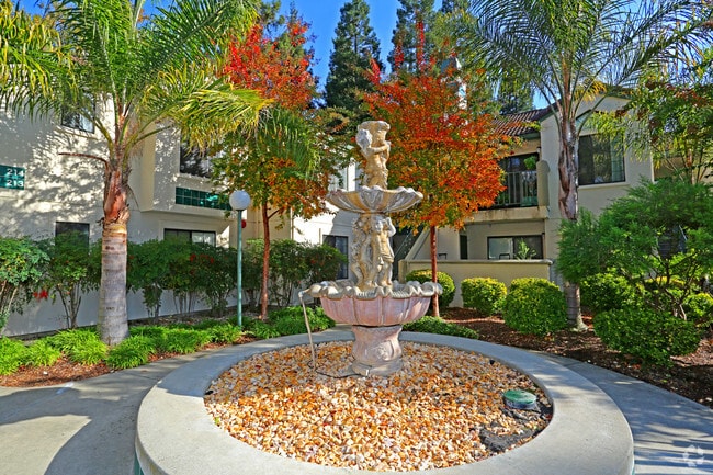 Photo - Dry Creek Apartments