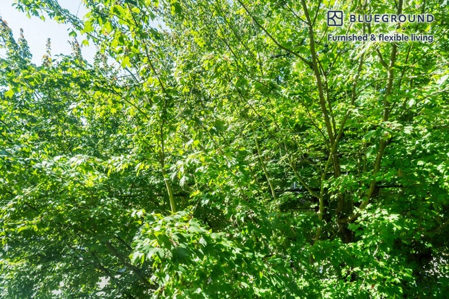 Photo - 4302 7th Ave NE Unit FL3-ID913