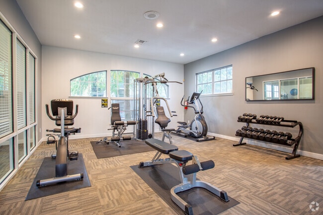 Fitness Center - The District at Clearwater