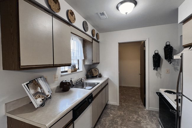 Kitchen Cabinets and a Dishwasher - Rolling Hills