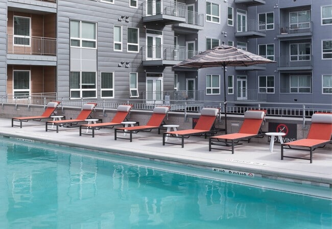 Photo - Emery West Highland