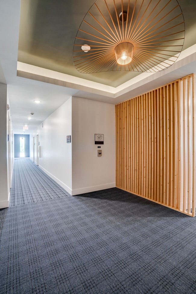 Photo - MN46 Apartments