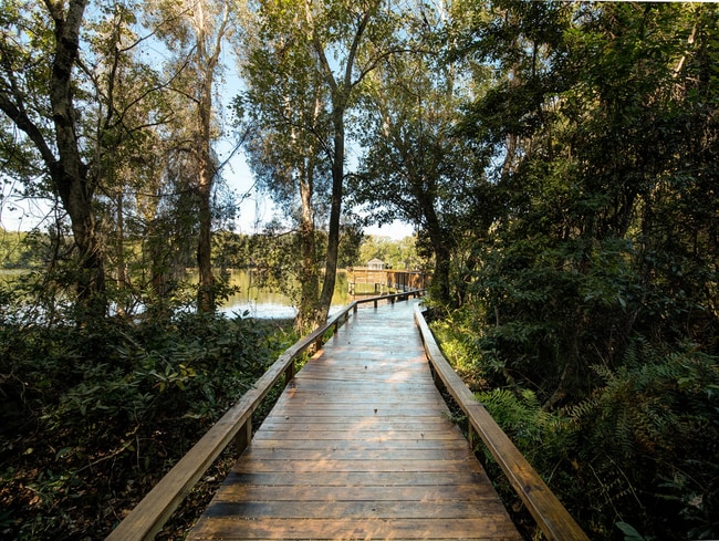 Photo - Grande Oasis at Carrollwood