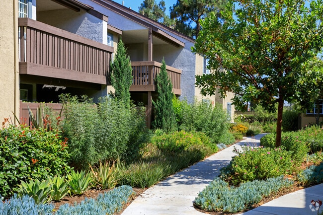 Courtyard - Rose Pointe Apartments