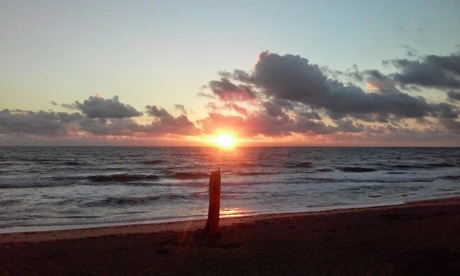 Building Photo - 9417 S Ocean Dr